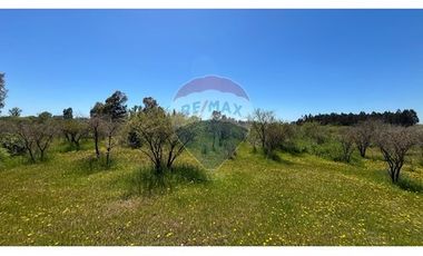 GRAN PARCELA EN LONGAVI