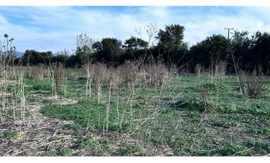 Parcela en Venta - Melipilla - 5290mts2