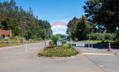 Venta de lotes con vista al mar proyecto Tomé