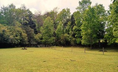 Venta Campo con Bosque Challupén, Villarrica