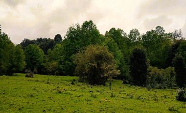 Venta Campo con Bosque Challupén, Villarrica