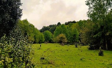 Venta Campo con Bosque Challupén, Villarrica