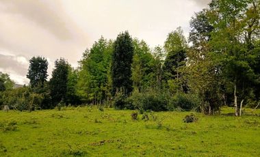 Venta Campo con Bosque Challupén, Villarrica