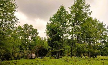 Venta Campo con Bosque Challupén, Villarrica