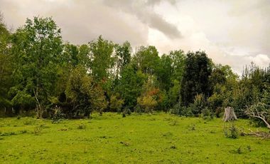 Venta Campo con Bosque Challupén, Villarrica