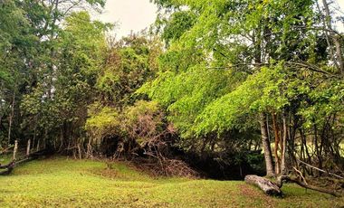 Venta Campo con Bosque Challupén, Villarrica