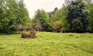 Venta Campo con Bosque Challupén, Villarrica