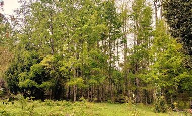 Venta Campo con Bosque Challupén, Villarrica