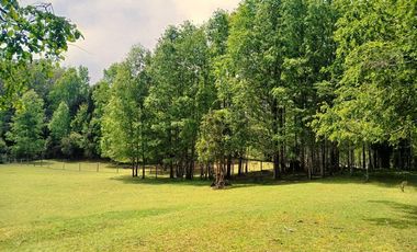 Venta Campo con Bosque Challupén, Villarrica