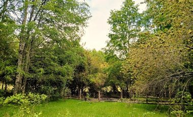 Venta Campo con Bosque Challupén, Villarrica