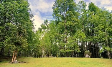 Venta Campo con Bosque Challupén, Villarrica