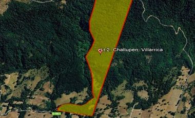 Venta Campo con Bosque Challupén, Villarrica