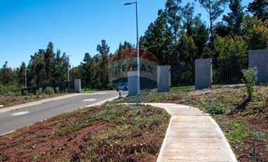 Venta de lotes con vista al mar, proyecto Tomé