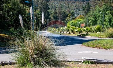 Venta de lotes con vista al mar, proyecto Tomé