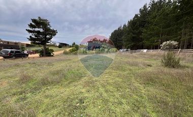Terreno a pasos de Punta de Lobos con vista al mar