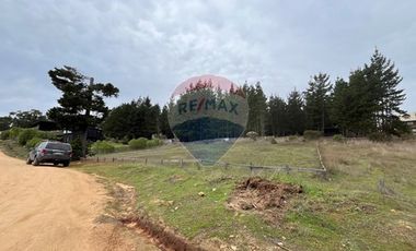 Terreno a pasos de Punta de Lobos con vista al mar