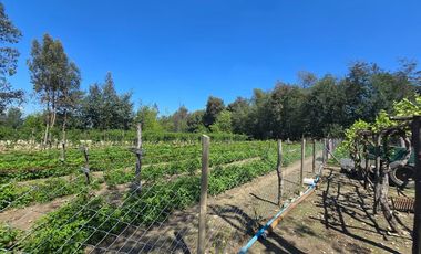 Espectacular casa y parcela en Linares