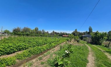 Espectacular casa y parcela en Linares