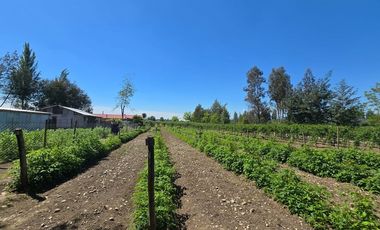 Espectacular casa y parcela en Linares