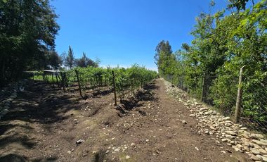 Espectacular casa y parcela en Linares