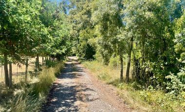 Venta de Parcela en Comuna de Cunco,  Ruta S-61
