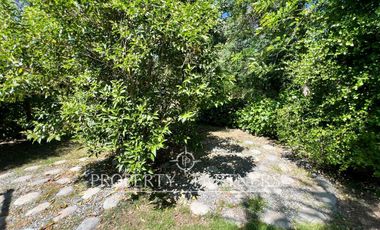 Espectacular casa patronal en terreno soñado