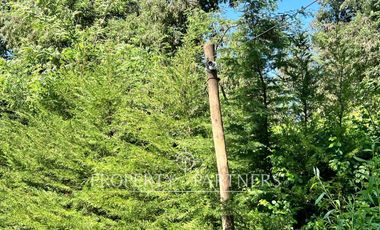 Espectacular casa patronal en terreno soñado