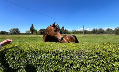 Espectacular casa patronal en terreno soñado