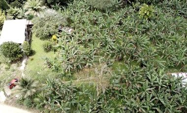 Terreno en venta - Sector reserva Cotacachi - Región de INTAG AV