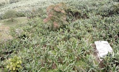 Terreno en venta - Sector reserva Cotacachi - Región de INTAG AV