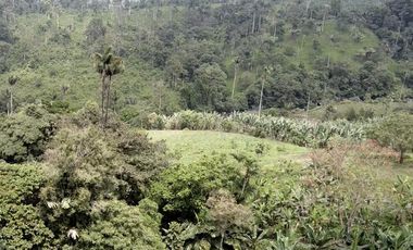 Terreno en venta - Sector reserva Cotacachi - Región de INTAG AV