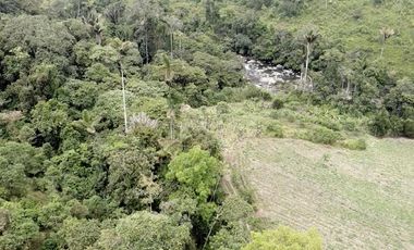 Terreno en venta - Sector reserva Cotacachi - Región de INTAG AV
