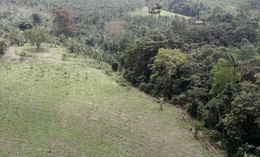 Terreno en venta - Sector reserva Cotacachi - Región de INTAG AV