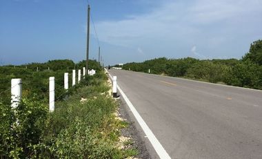 Terreno frente al mar en chabihau merida, yucatan