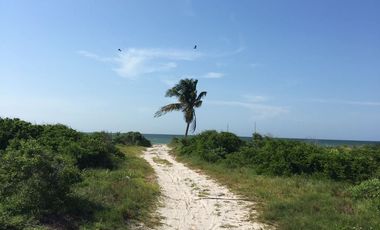 Terreno frente al mar en chabihau merida, yucatan