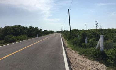 Terreno frente al mar en chabihau merida, yucatan