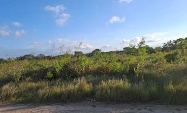 Terreno en venta en  temozon norte merida yucatan