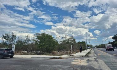 Terreno comercial oportunidad sobre avenida en esquina