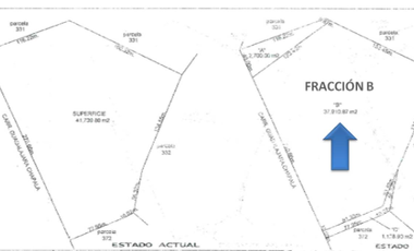 Terreno 3.79 has. (37,910 .67 m2) p/parque industrial Venta  Carretera Chapala