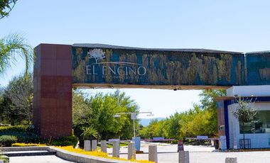 Venta Terreno El Encino