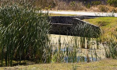 Venta Terreno El Encino