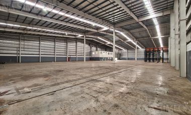 Nave Industrial - Pilar