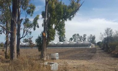 VENTA DE TERRENO VOCACION INDUSTRIAL