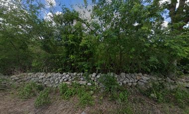 Terreno en Venta sobre Carretera a San José Grande, Muxupip