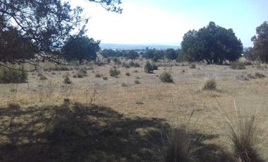 TERRENO EN VENTA EN ATLANGATEPEC, TLAXCALA