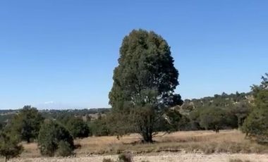 TERRENO EN VENTA EN ATLANGATEPEC, TLAXCALA