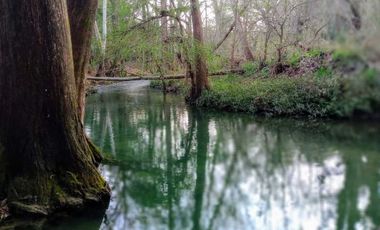 QUINTA EN VENTA MONTEMORELOS