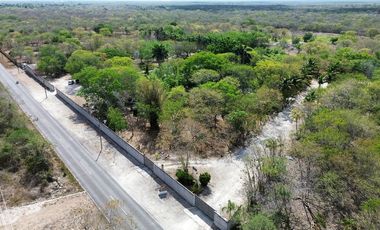 QUINTA EN VENTA CON CENOTE EN TAKAT, BACA.