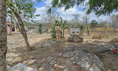 QUINTA EN VENTA CON CENOTE EN TAKAT, BACA.