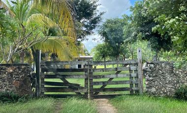 Rancho “Santa Inés” – Entre Chixculub Pueblo y Mocochá, Yucatán